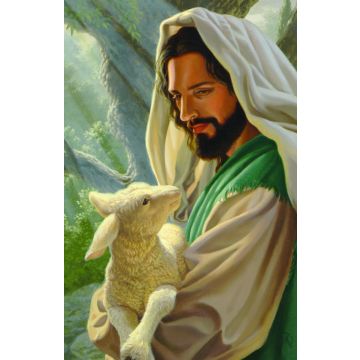 Adventist Book Center Online - Adventist Books, Music and Media
